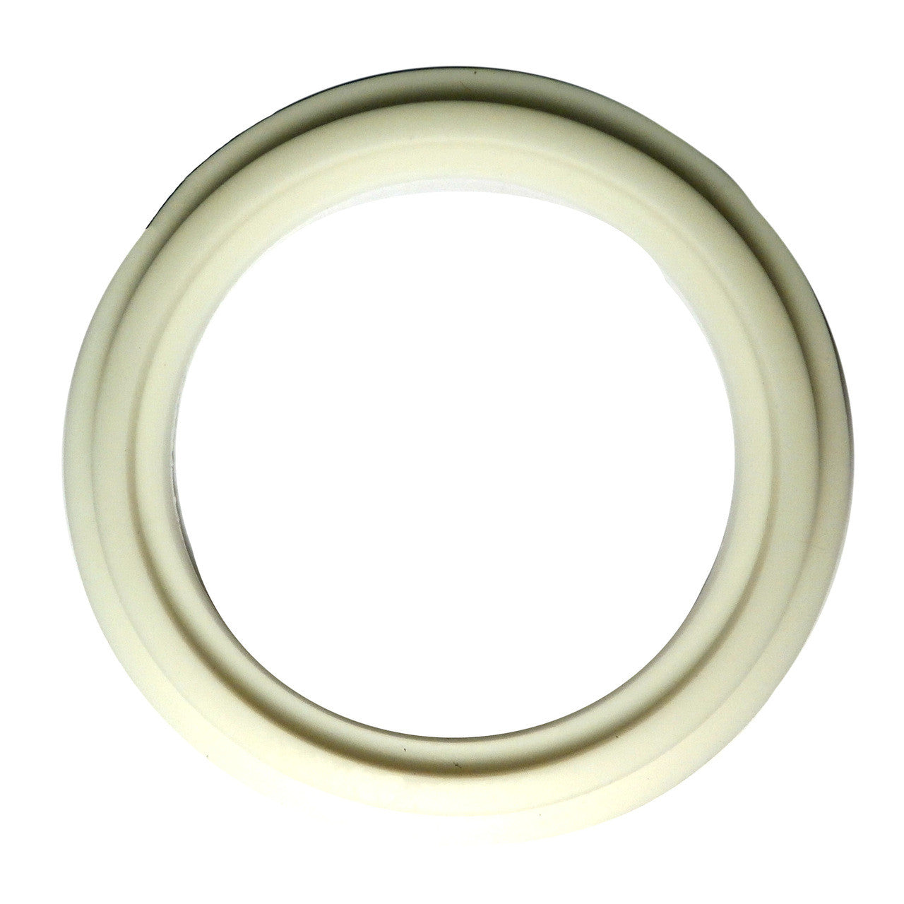 Master Spa - X801765 - Heater Gasket O-Ring