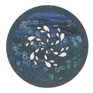 Master Spa - X509003 - 2004 Therapy Button Overlay - Front View